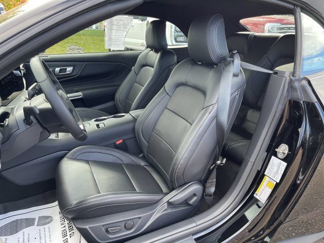 Certified 2026 Ford Mustang Premium w/ Bronze Appearance Package RWD image 6