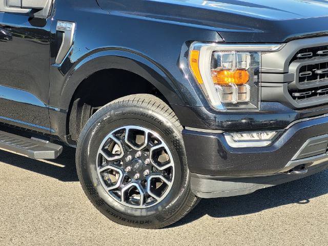 Certified 2023 Ford F150 XLT w/ Equipment Group 302A High AWD/4WD image 3