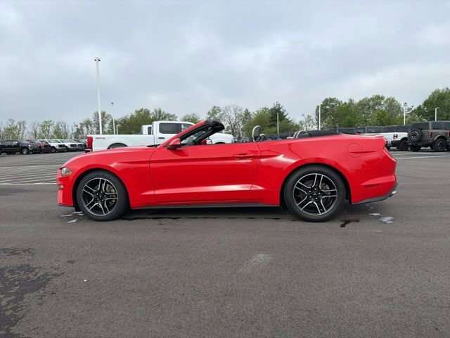 Certified 2020 Ford Mustang Premium RWD image 4