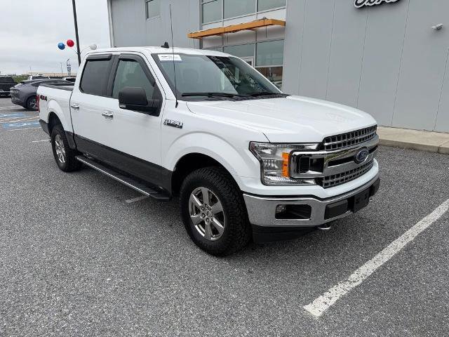 Certified 2019 Ford F150 XLT w/ Equipment Group 302A Luxury image 7