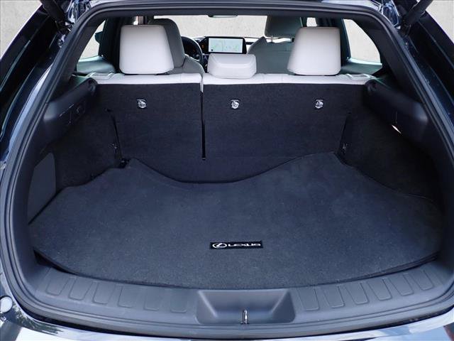Used 2025 Lexus UX 300h AWD w/ Cold Area Package image 8