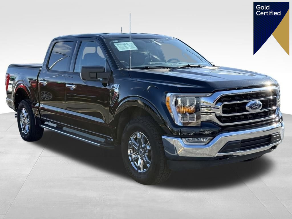 Certified 2023 Ford F150 XLT w/ Equipment Group 302A High image 1