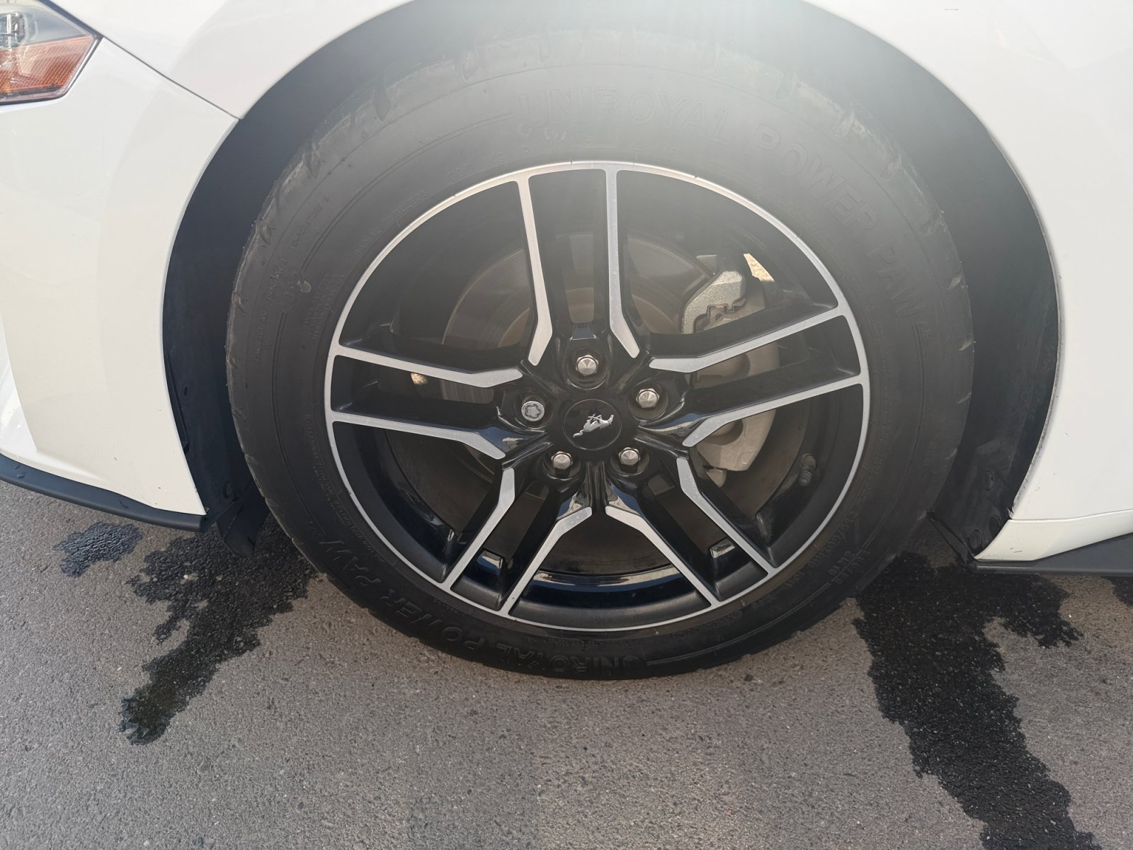 Certified 2022 Ford Mustang Premium RWD image 11