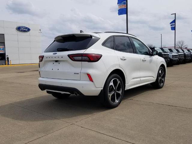 Certified 2024 Ford Escape ST-Line Elite image 5