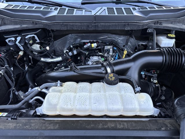 Certified 2024 Ford F150 STX RWD image 34