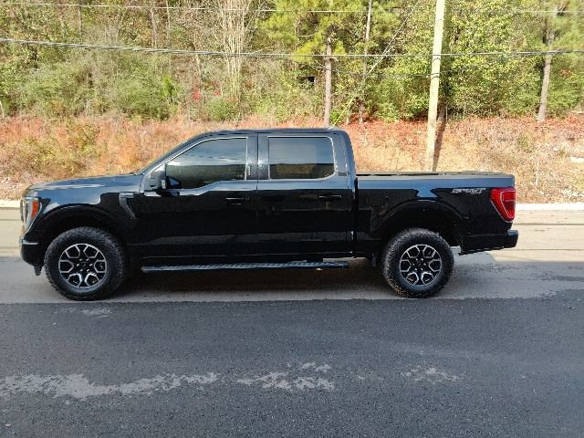 Certified 2022 Ford F150 XLT w/ Equipment Group 302A High image 5