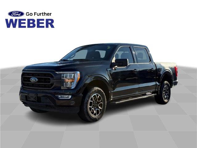 Certified 2023 Ford F150 XLT w/ Equipment Group 302A High AWD/4WD image 1