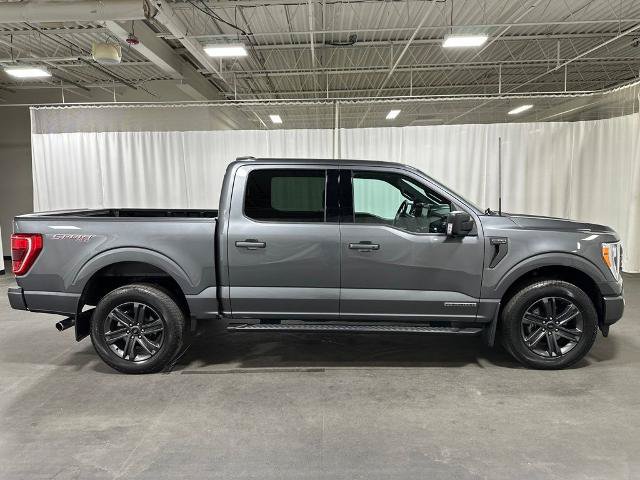 Certified 2023 Ford F150 XLT w/ Equipment Group 302A High AWD/4WD image 4