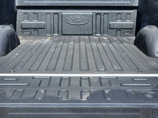 Certified 2025 Ford F150 XL AWD/4WD image 19