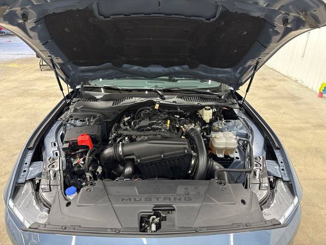Certified 2025 Ford Mustang Coupe RWD image 13