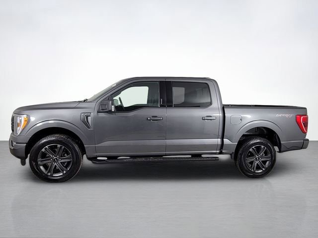 Certified 2023 Ford F150 XLT w/ Equipment Group 302A High image 2