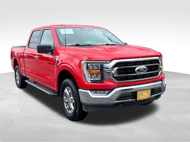 Certified 2022 Ford F150 XLT w/ Equipment Group 302A High AWD/4WD image 4