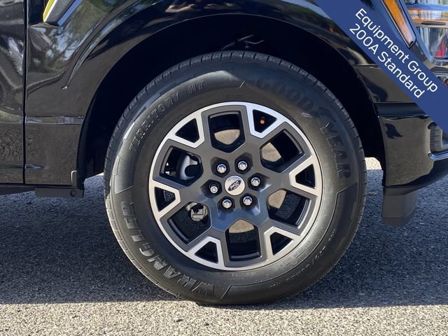 Certified 2024 Ford F150 STX RWD image 12