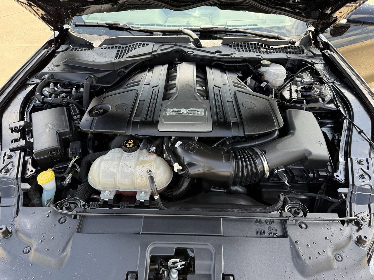 Certified 2019 Ford Mustang GT image 26