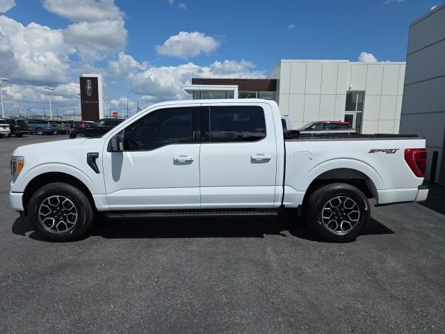 Certified 2023 Ford F150 XLT w/ Equipment Group 302A High AWD/4WD image 6