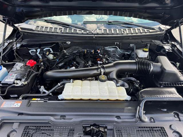 Certified 2024 Ford Expedition XLT image 19