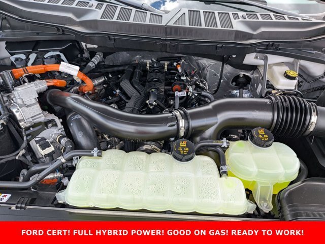 Certified 2025 Ford F150 XL w/ Equipment Group 104A Hybrid AWD/4WD image 25