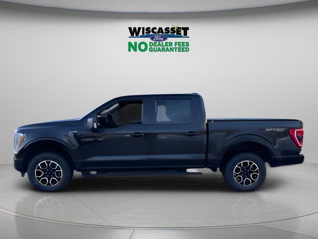 Certified 2023 Ford F150 XLT w/ Equipment Group 302A High image 2