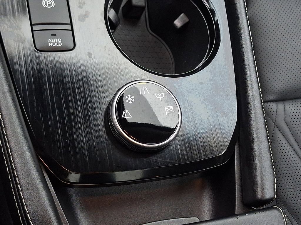 Used 2024 Nissan Rogue Platinum w/ Platinum Premium Package image 28