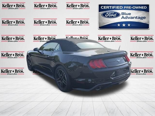 Certified 2019 Ford Mustang Premium RWD image 5