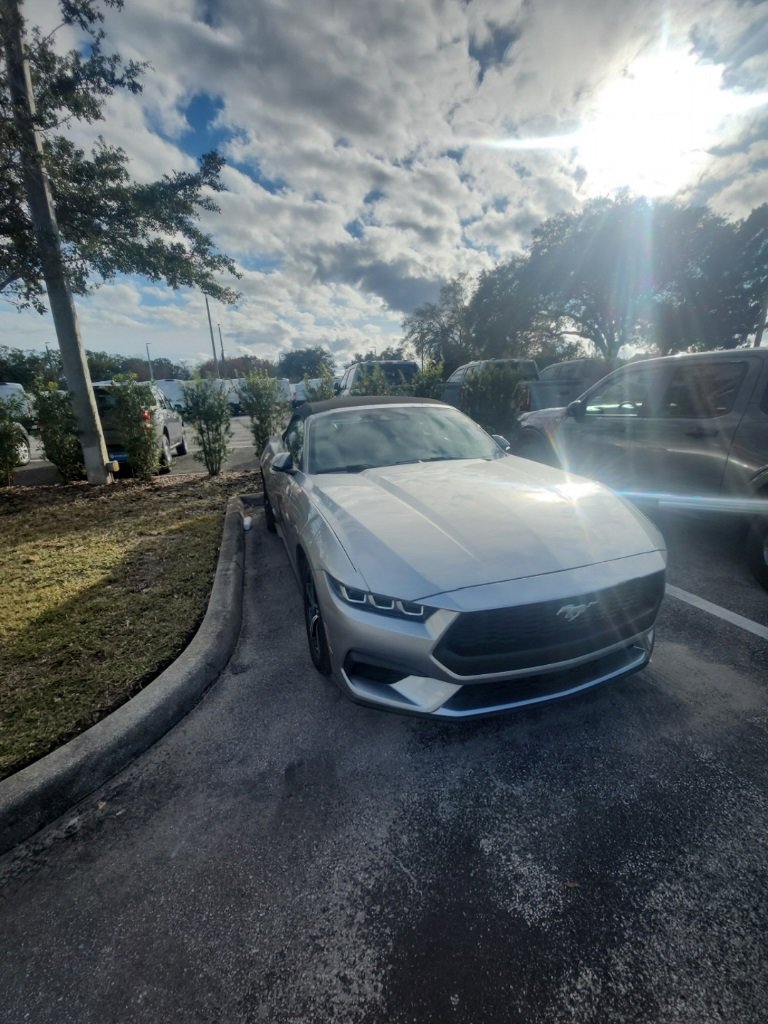 Certified 2024 Ford Mustang Premium image 3