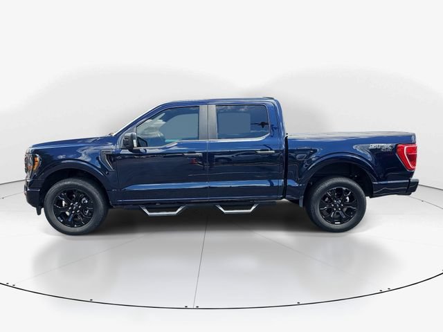 Certified 2023 Ford F150 XL w/ STX Black Appearance Package AWD/4WD image 6