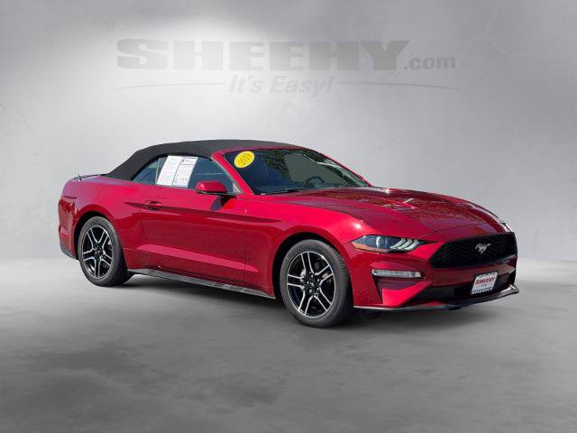 Certified 2019 Ford Mustang Premium RWD image 3