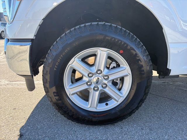 Certified 2023 Ford F150 XLT w/ Equipment Group 302A High image 10