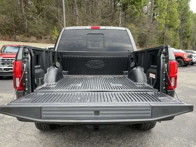 Certified 2019 Ford F150 Platinum w/ Equipment Group 701A Luxury image 12