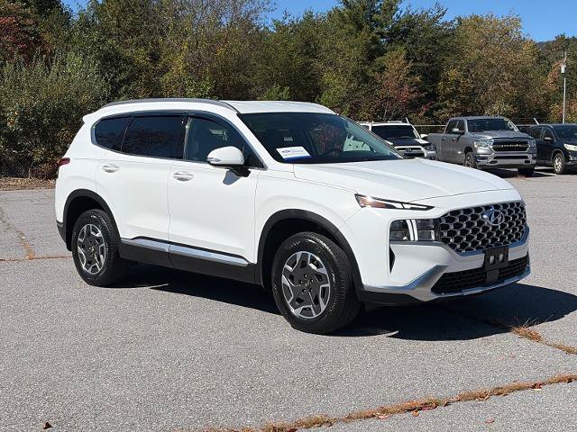 Used 2023 Hyundai Santa Fe Blue AWD/4WD image 1