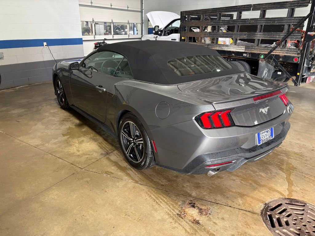 Certified 2025 Ford Mustang Premium RWD image 6