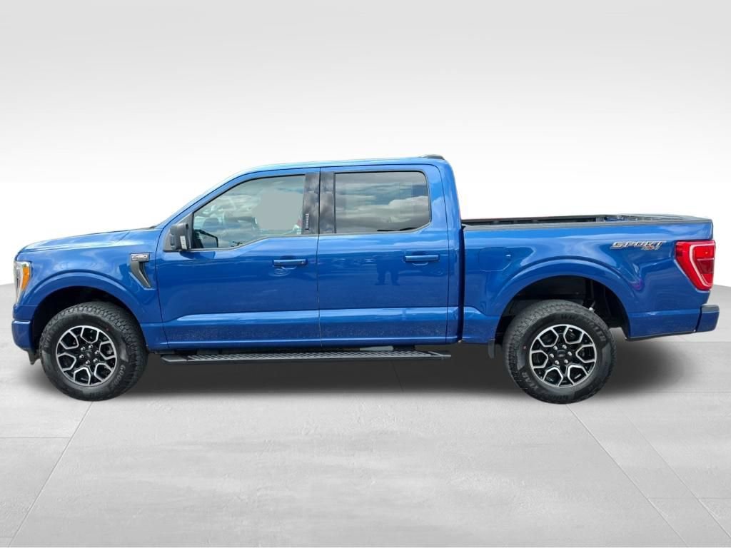 Certified 2023 Ford F150 XLT w/ Equipment Group 302A High AWD/4WD image 10