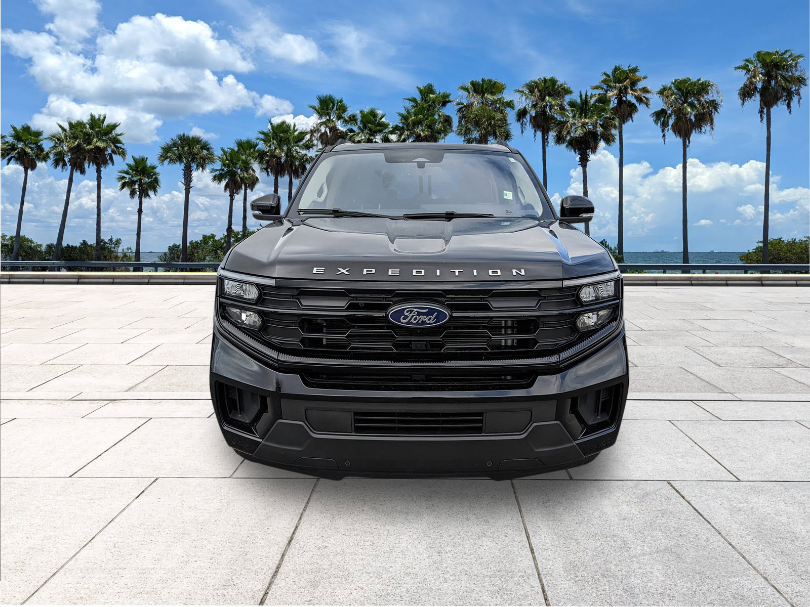 Certified 2025 Ford Expedition Active image 3