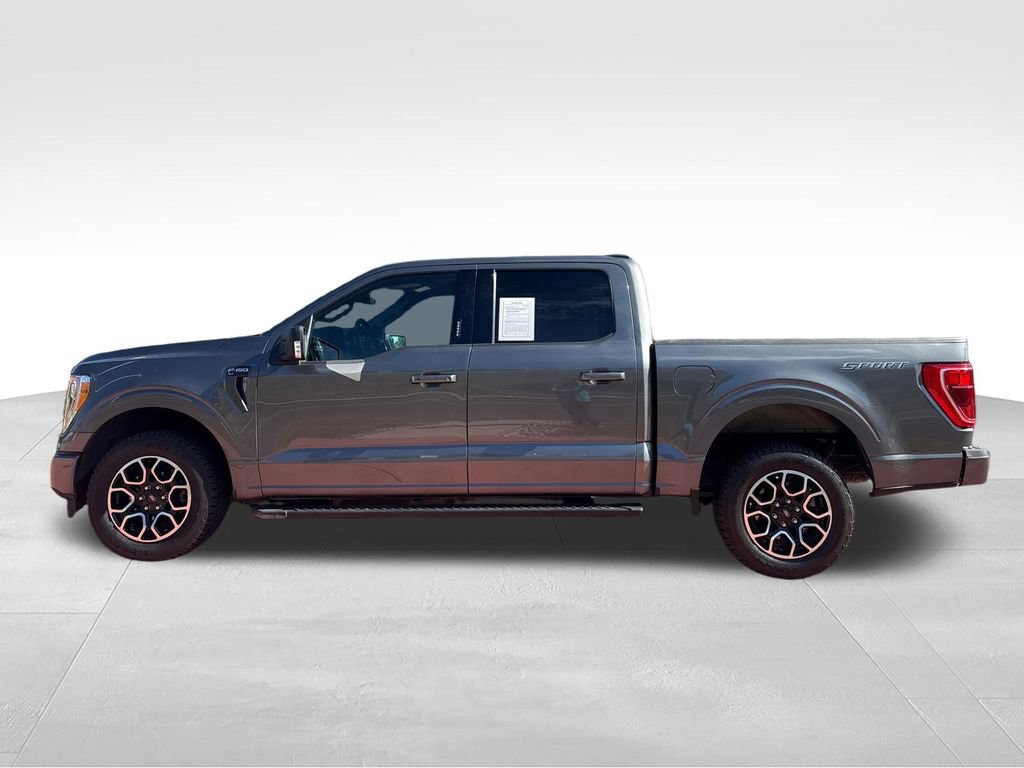 Certified 2023 Ford F150 XLT w/ Equipment Group 302A High RWD image 5
