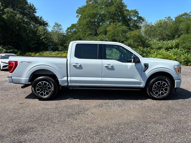 Certified 2023 Ford F150 XLT w/ Equipment Group 302A High AWD/4WD image 6