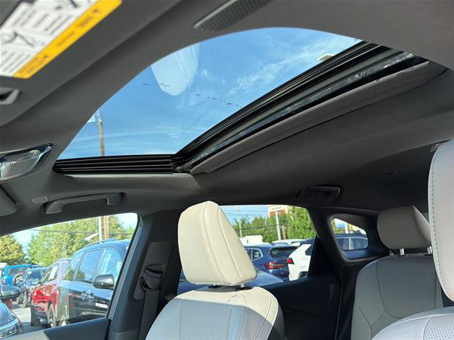 Used 2023 Lexus RX 350 Premium Plus w/ Cold Area Package AWD/4WD image 10