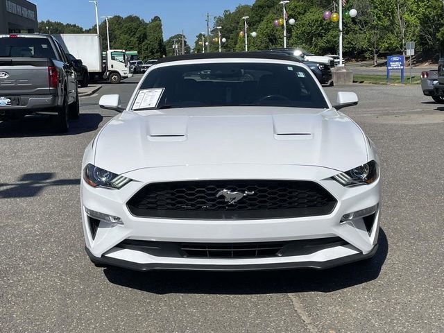 Certified 2019 Ford Mustang Premium w/ Equipment Group 201A RWD image 12