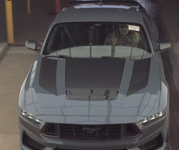 Certified 2024 Ford Mustang Dark Horse image 2