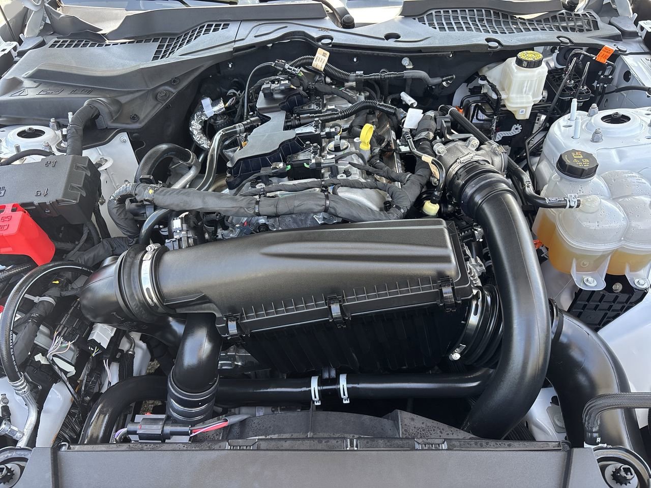 Certified 2025 Ford Mustang Coupe RWD image 10