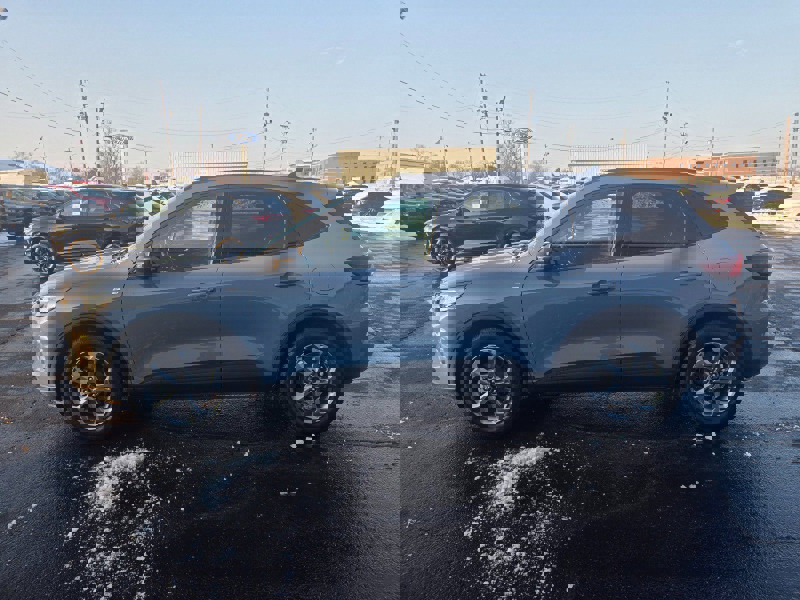 Certified 2025 Ford Escape ST-Line w/ Equipment Group 301A image 6