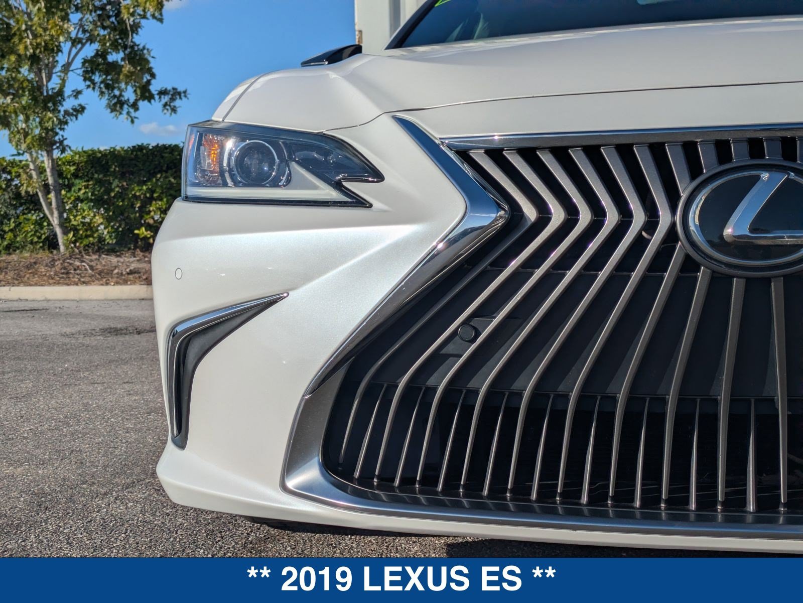 Used 2019 Lexus ES 350 w/ Premium Package FWD image 10