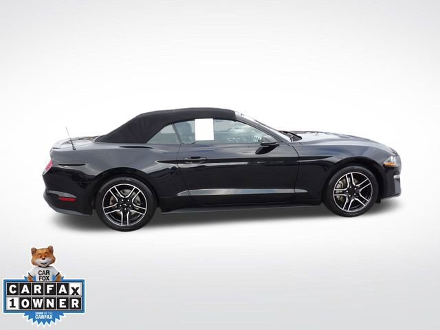 Certified 2023 Ford Mustang Premium image 7