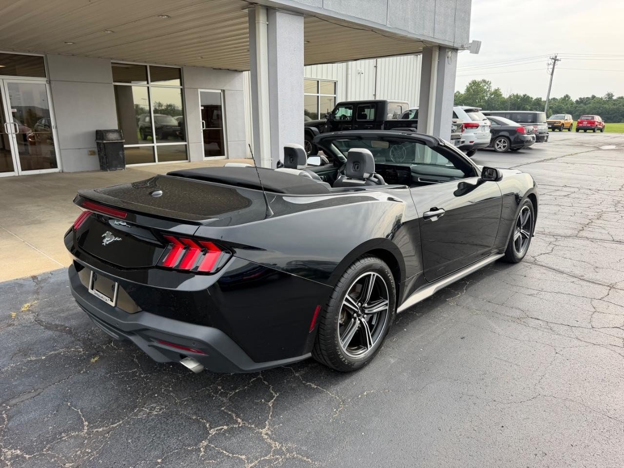 Certified 2024 Ford Mustang Premium RWD image 13