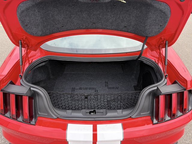 Certified 2019 Ford Mustang Shelby GT350 w/ Technology Package RWD image 11