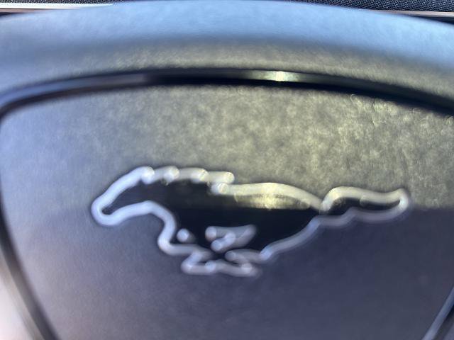 Certified 2023 Ford Mustang Mach-E Premium RWD image 24