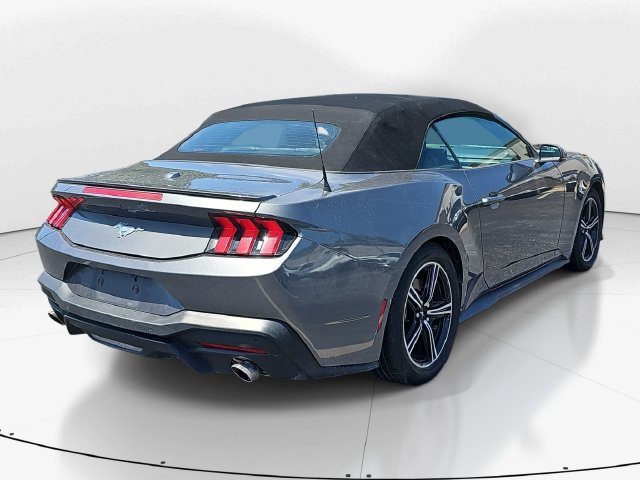 Certified 2024 Ford Mustang Premium RWD image 4