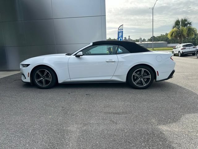 Certified 2024 Ford Mustang Premium RWD image 6