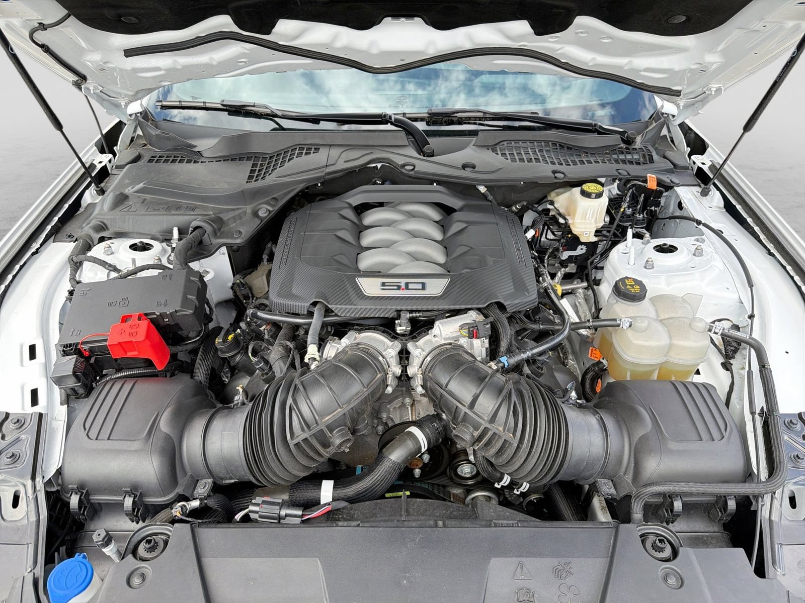 Certified 2024 Ford Mustang GT Premium RWD image 18