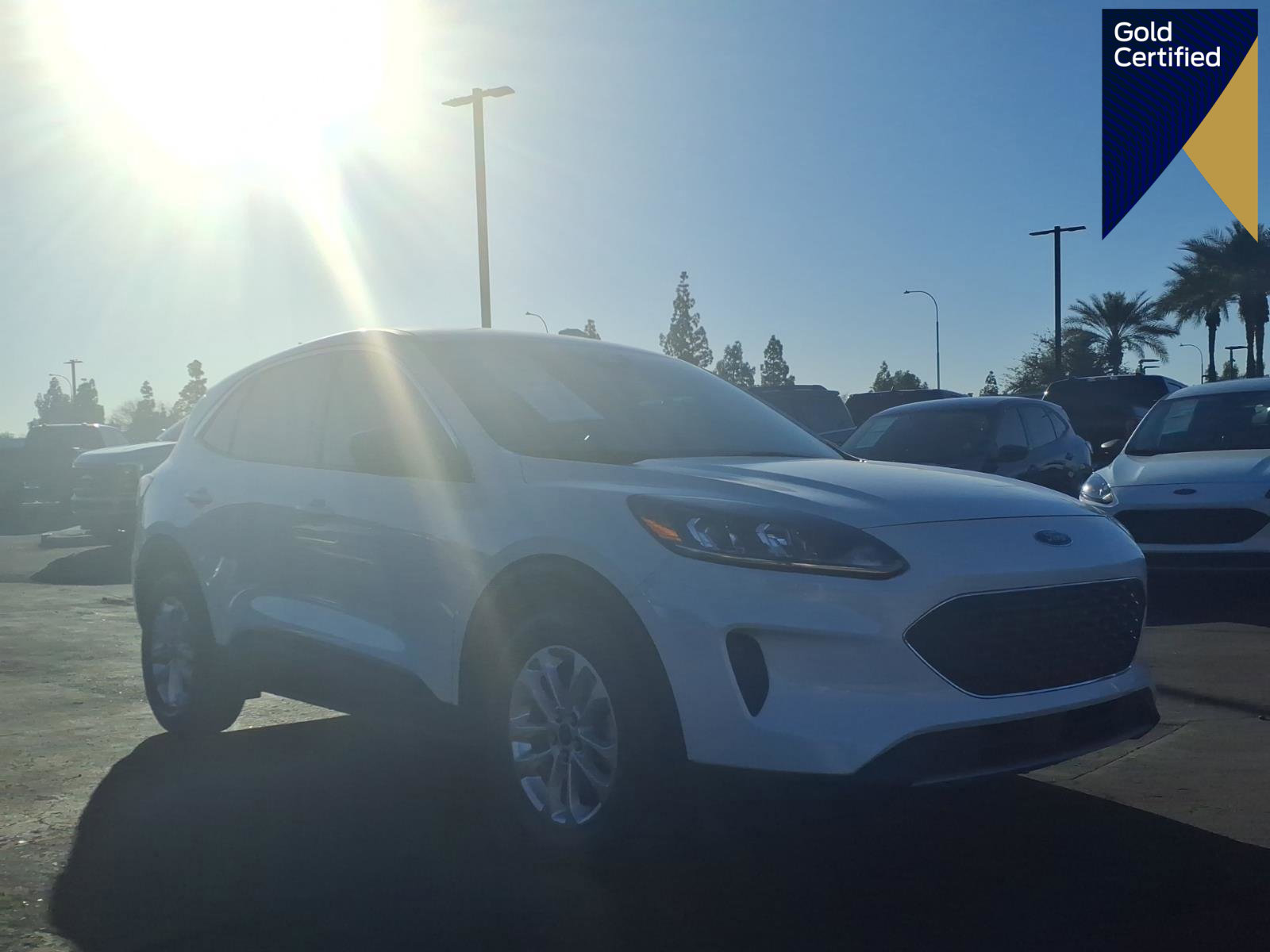 Certified 2022 Ford Escape SE image 1