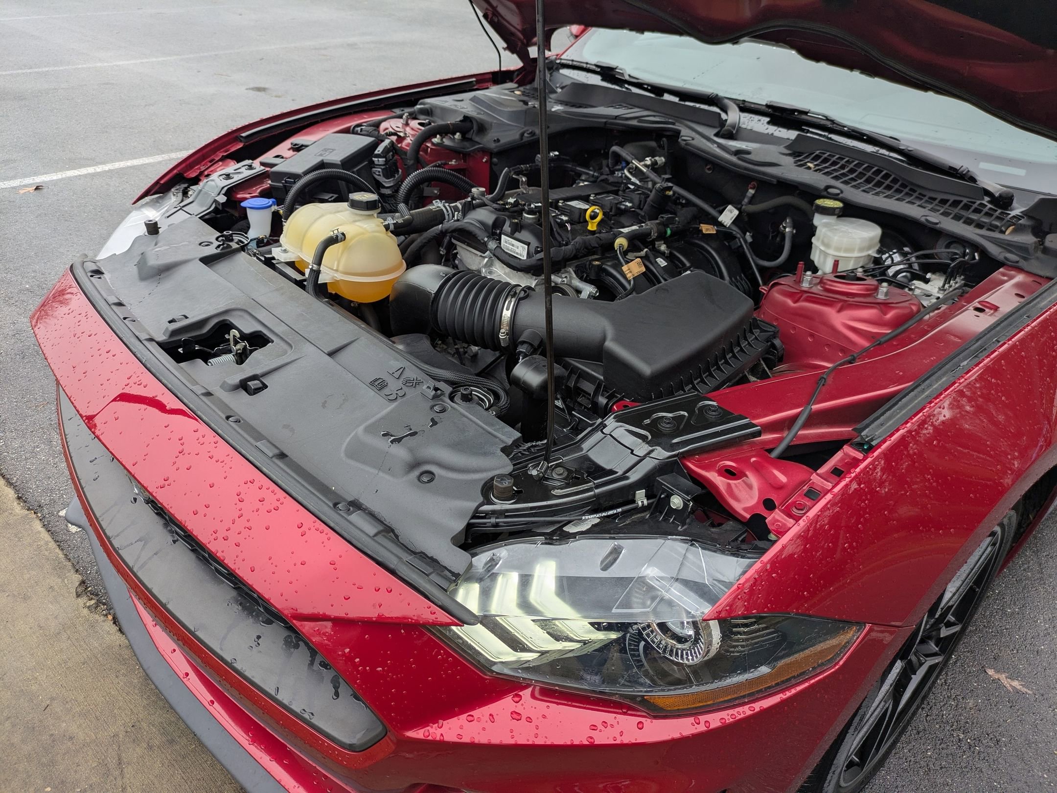 Certified 2022 Ford Mustang EcoBoost w/ Equipment Group 101A image 31